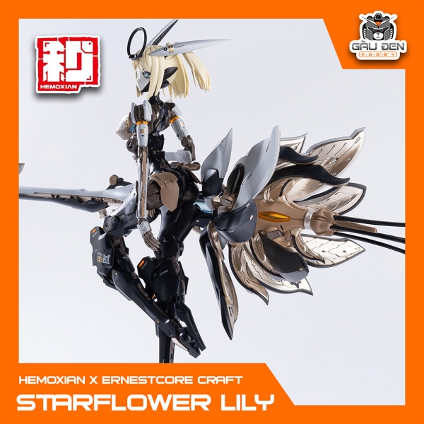 STARFLOWER LILLY